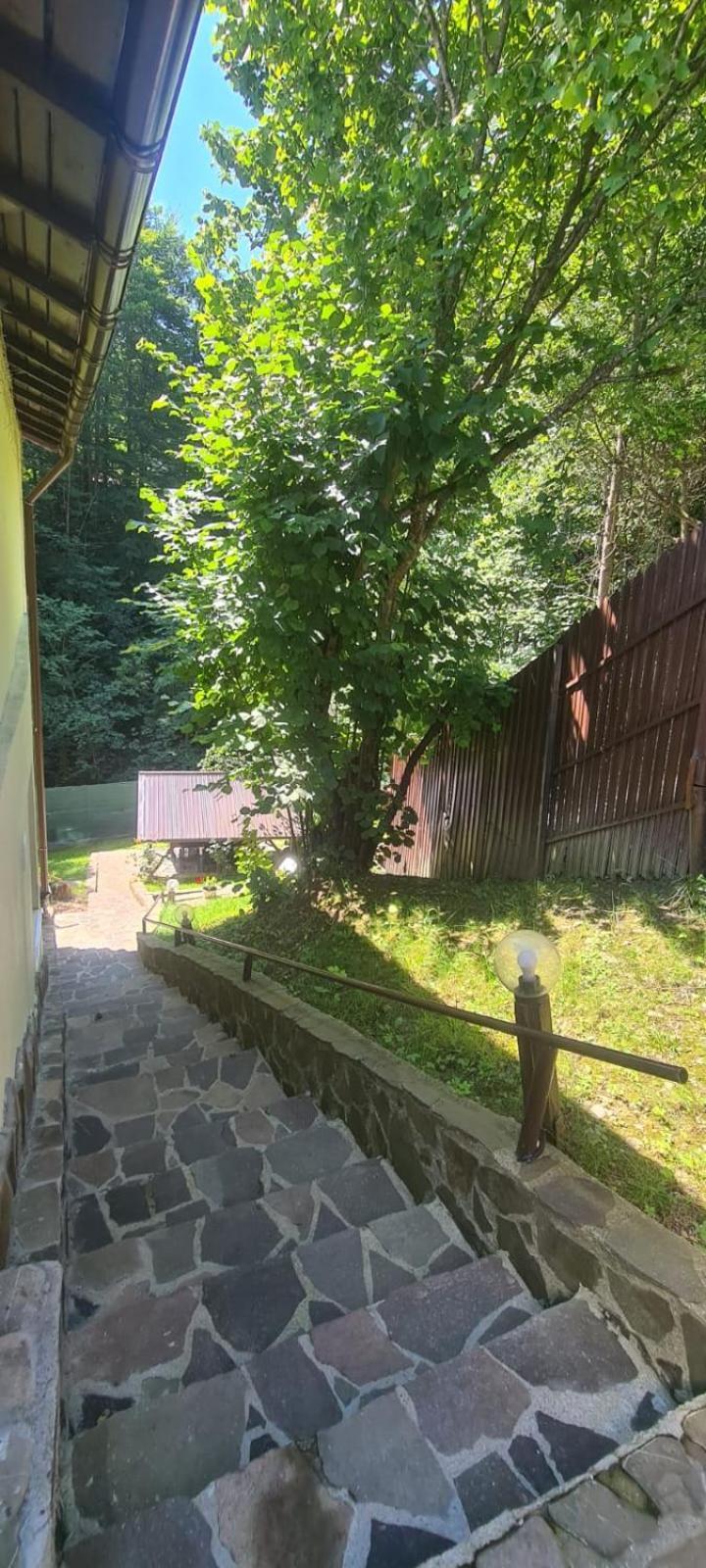 Casa Thor Apartment Sinaia Exterior foto